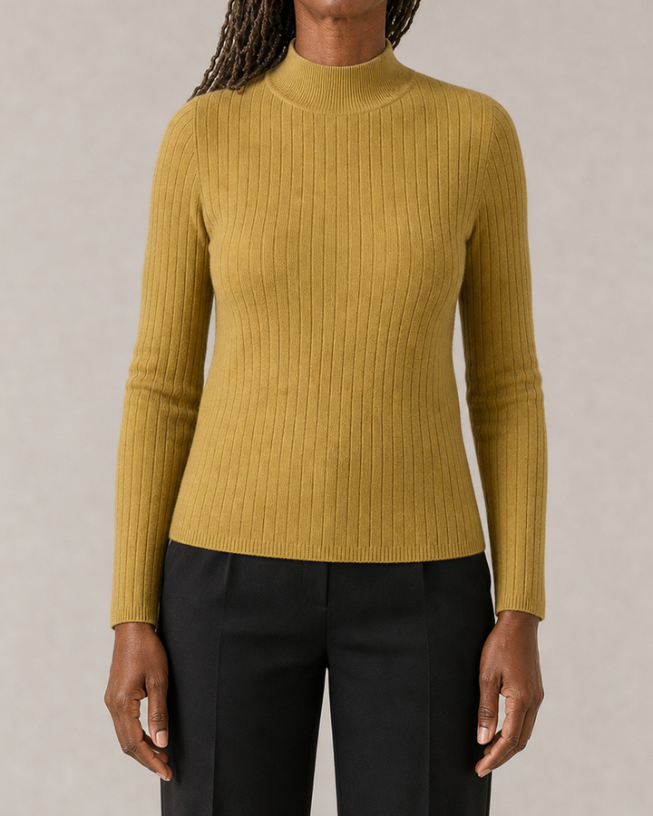 Zayenna Slim Fit Half Turtleneck Knit Top